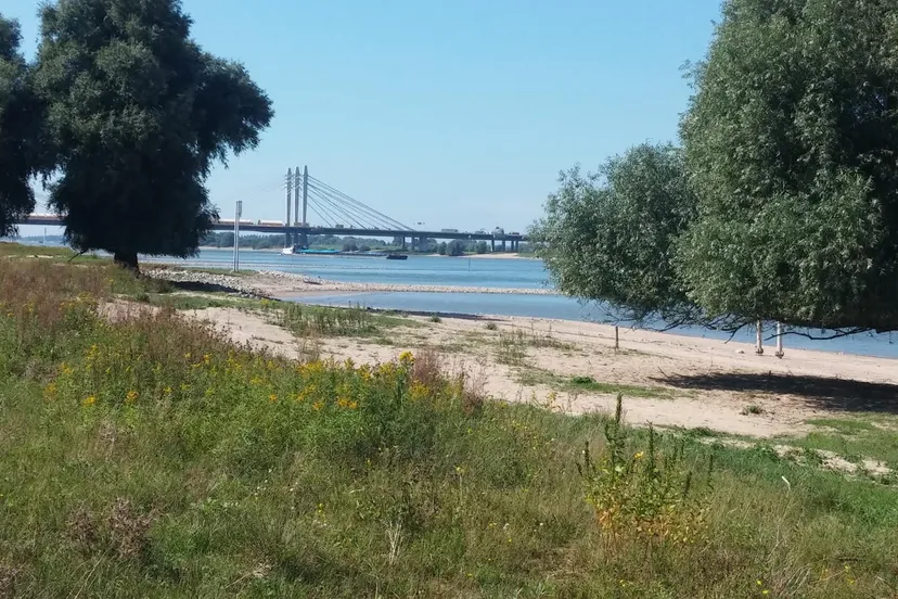 beuningseoverwalloop