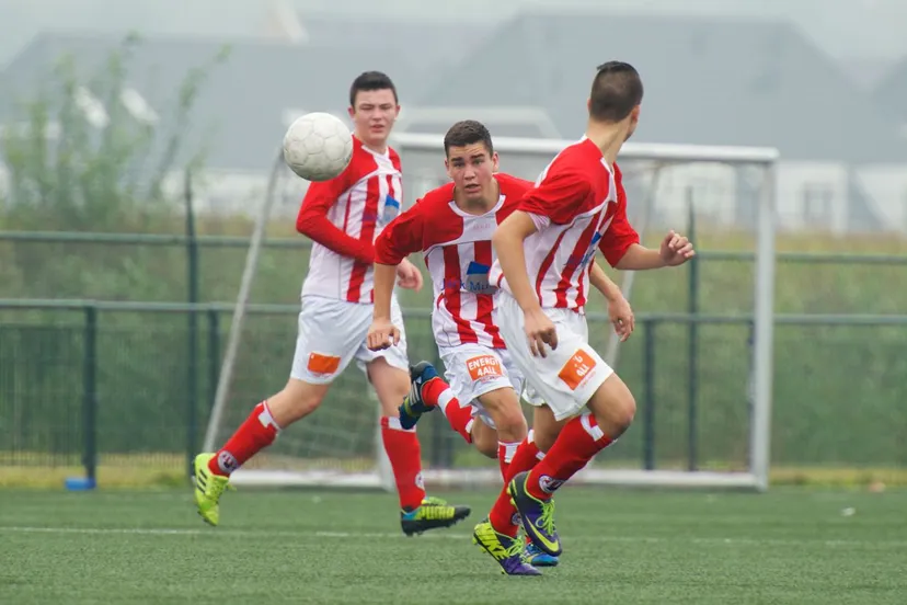 bm33q9ims7z9thj3v8fy6ughk bbb22014090646