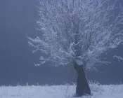 bn58np22fad784w7o5orfyi3m 204697