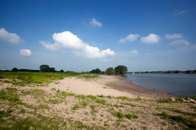 bomen uiterwaarden winssen