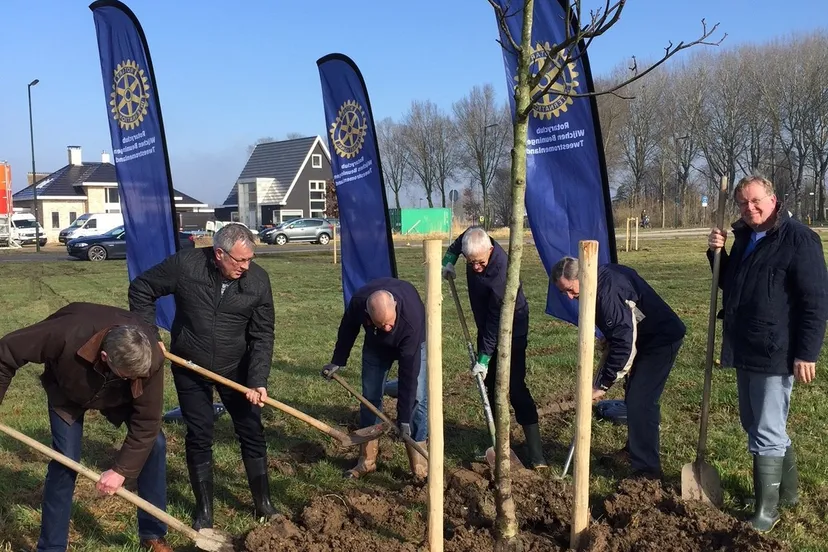 boomfeestdag 2018 planten bomen snoepbos