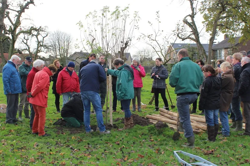 boomgaard winssen e1447670555544