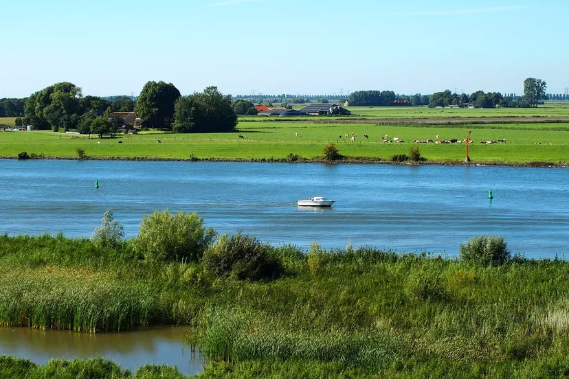 boot abeijeman pixabay