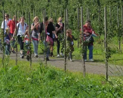 bpcsdr5vxd4swzrhyrdd8411o 225900