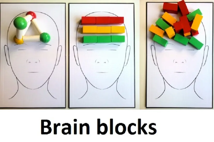 brainblocks fotos hoofden