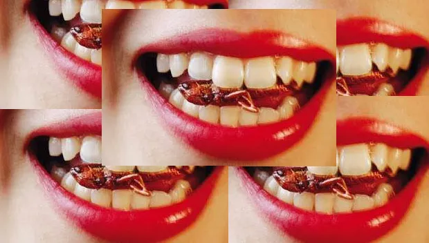 c4xs6rxdrddj8fwhgn4hnt0sn sprinkhaan