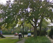 cb2zh43bpcdpcwdp1bm8e0u88 137384