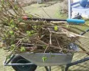 cgpmgs05a47kqwoy1w85urmhj 23580