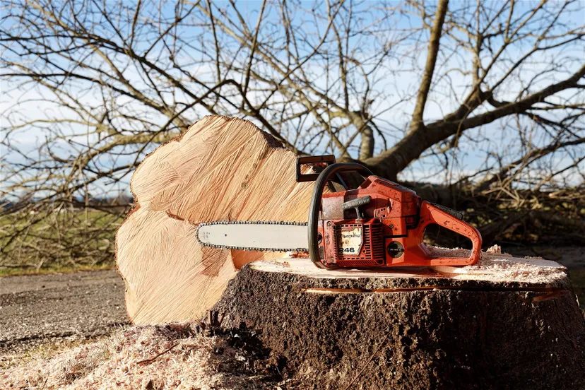 chainsaw 4815949 1920