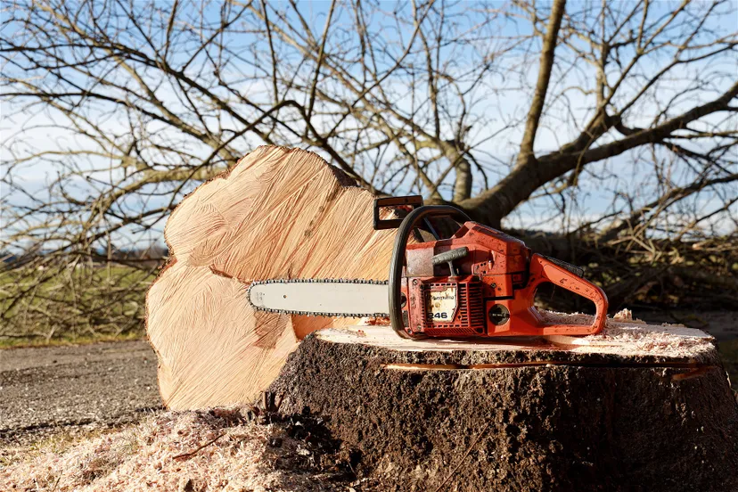 chainsaw 4815949 1920