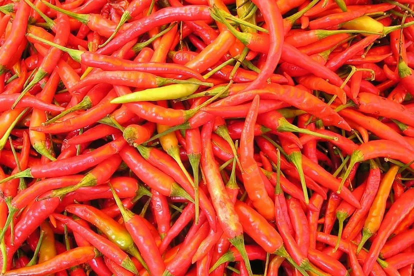 chilli pepper 449 1280 e1440015322112