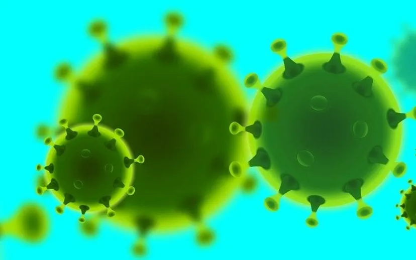 corona 4928668 1280 915x518