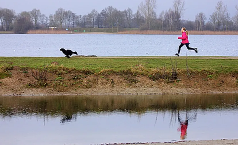 csm laagseizoen hondenseizoen copyright leisurelands 1dbd3ef92a