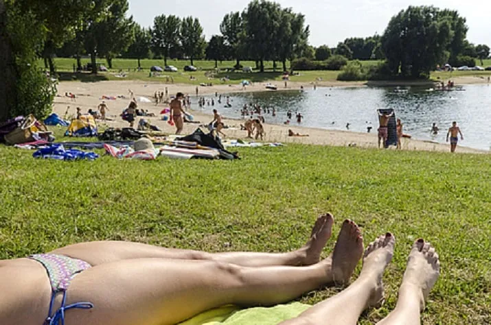 csm rhed 2708 17 5a68735a98