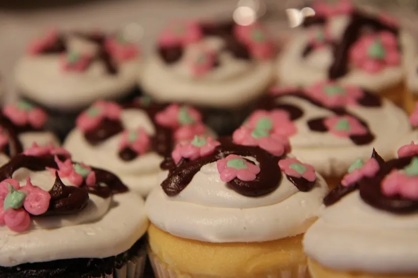 cupcakes 552284 1280 e1429829748932