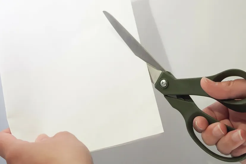 cut 174860 1920 e1447108678466