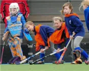 d65ik8j811dfvyhh6zwarxycw 45049