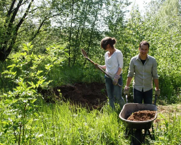 d7xwfjzoj4r5tzapu55ftbx03 144438