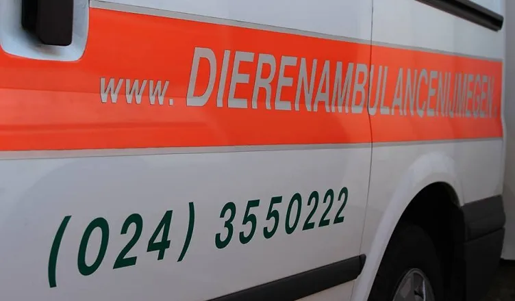 dan dierenambulance nijmegen