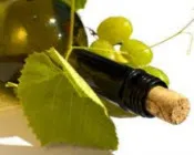 dax0v1onk21mbvnstkj1nj9s0 223806