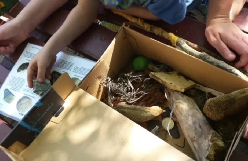 dd678a9c 0a56 41d7 bb1c b06e8254d9f2 thumb840