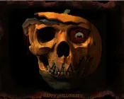 dd6tpt1zwb9r1n1kex26va4jb 28716