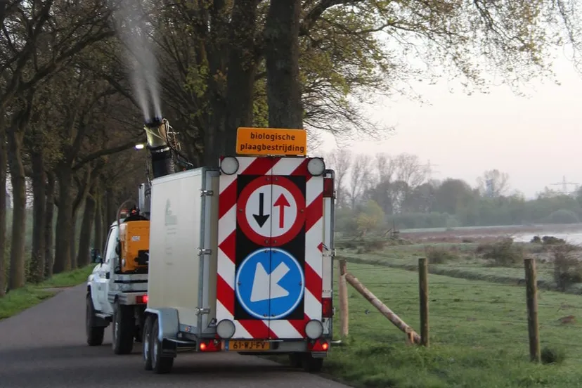 de gemeente beuningen bestrijdt eikenprocessierups e1525547284347