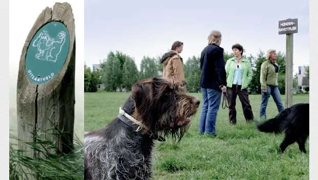 di3z2sqyc09a8g6ho7ye7hh3x uitlaatveld ravotplek