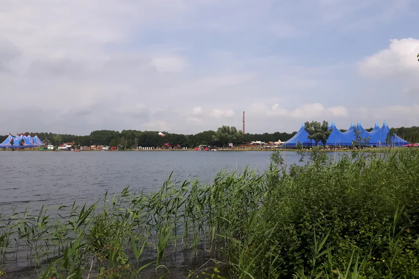 down the rabbit hole 2016