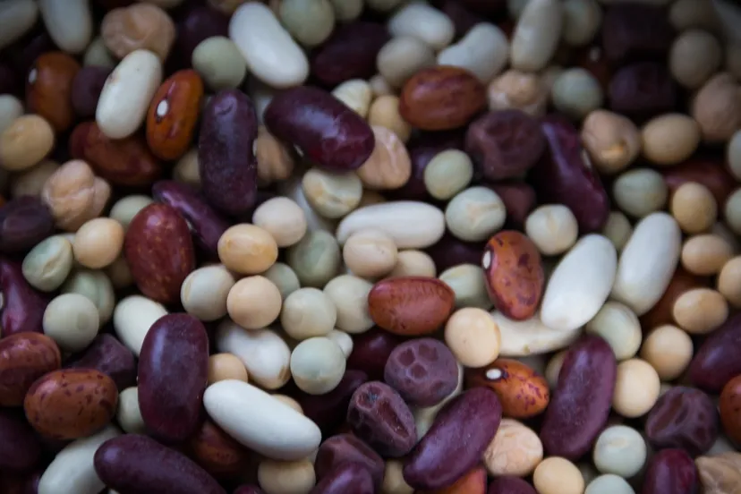 dried beans 763158 1920 e1446078215219