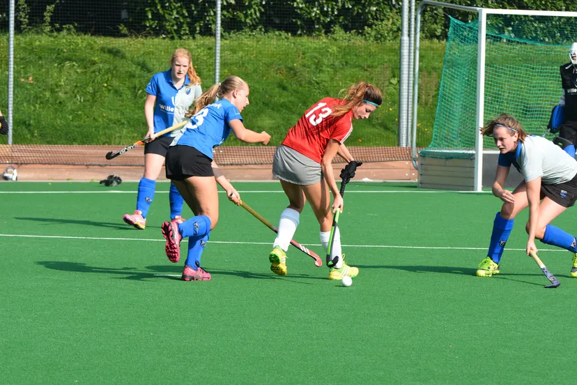 dsc 0003 e1444160966176