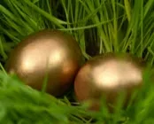 dtxldzm75s2zxvm1udxe1iwcj 218508