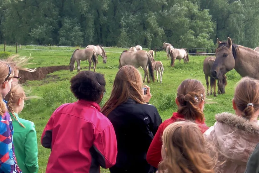 dw6jy1qyao6ss07agc6xukonv afbeelding 15