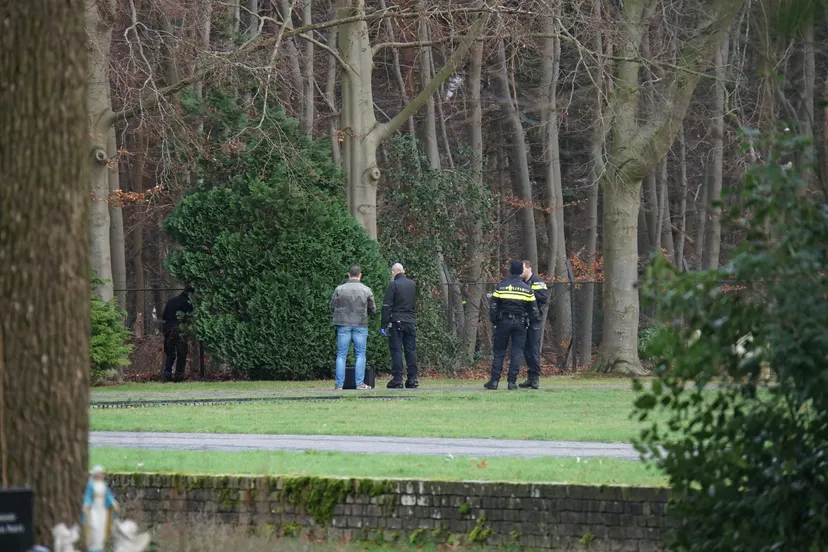 e4a55e83 1cdb 4c25 bff2 c054a98fc004