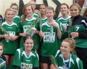 e8zj28slk90lgg9bk3od8ia4y 30201