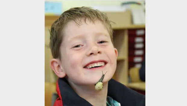 emssvt1tai39t3vsa3nu4apbq triangel biologie