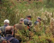 etml7luy6hf2ty4szph2ghx6u 207986