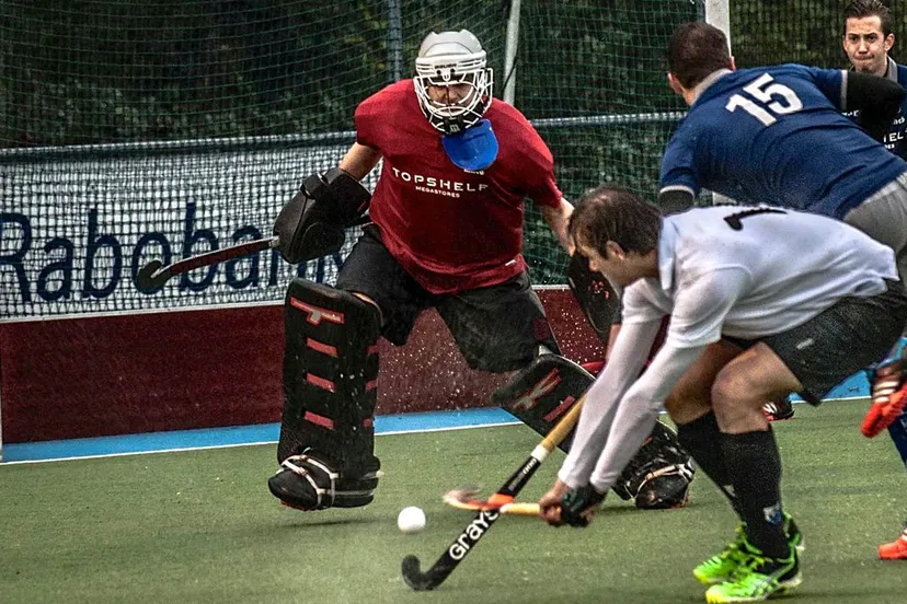 f0xqvrk8i40wz80ybp3gnyzhn dsc0379 sn