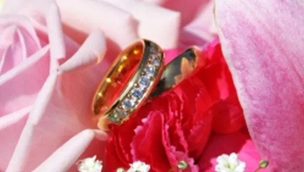 fb7sksh9l0j7a0cahx5ulcbaq id 100196437robertnilsonfreedigitalphotos net