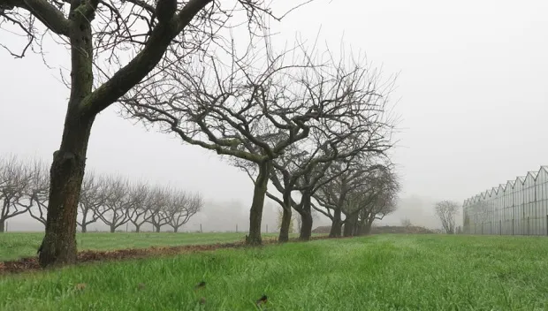 fcwmkms2ib1feazb0yt7c7kih landschap wim piels