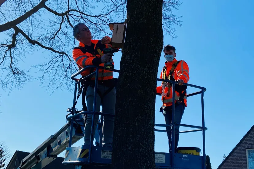 foto piet mezenkastje 1