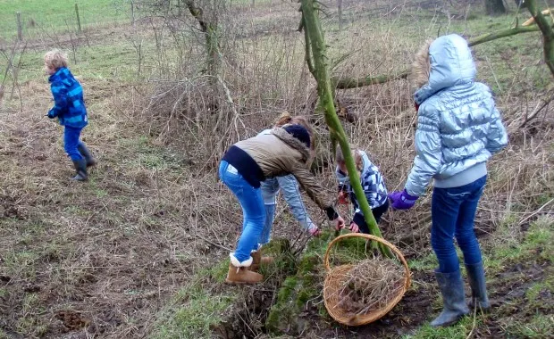 fotodijkm2015 02 11winterkostdieren