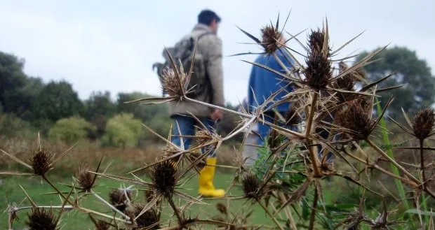 fotodijkm2015 02 26weurtsewandeling