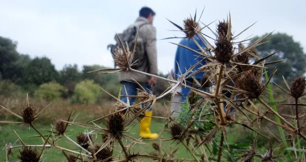 fotodijkm2015 02 26weurtsewandeling