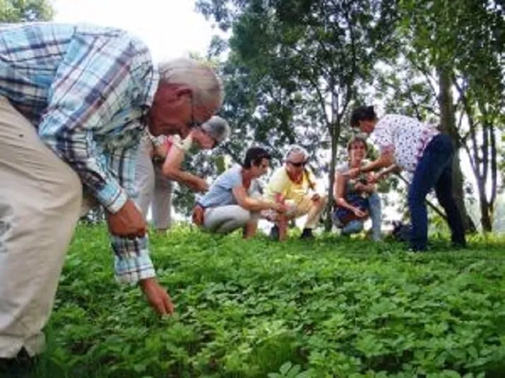 fotodijkmagazijn2016 05 16kokenwildeplanten