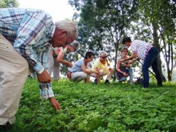 fotodijkmagazijn2016 05 16kokenwildeplanten