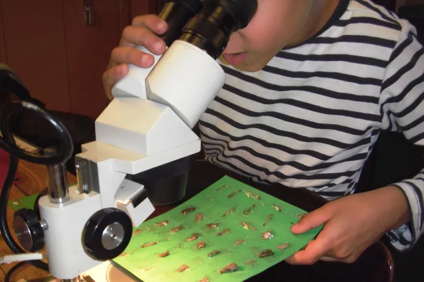 fotodijkmagazijnuilenballen