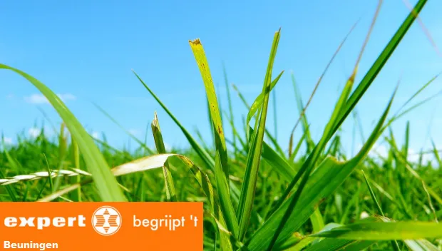 g2ijudzcw5wriny4b7nd0dhen groene zaterdag