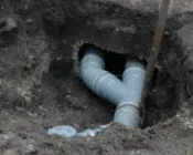 g4cxb4axfx72obwolth4qa19n 215501