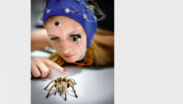 g5q5lyxu2isawtfghsvmm74un digidaan